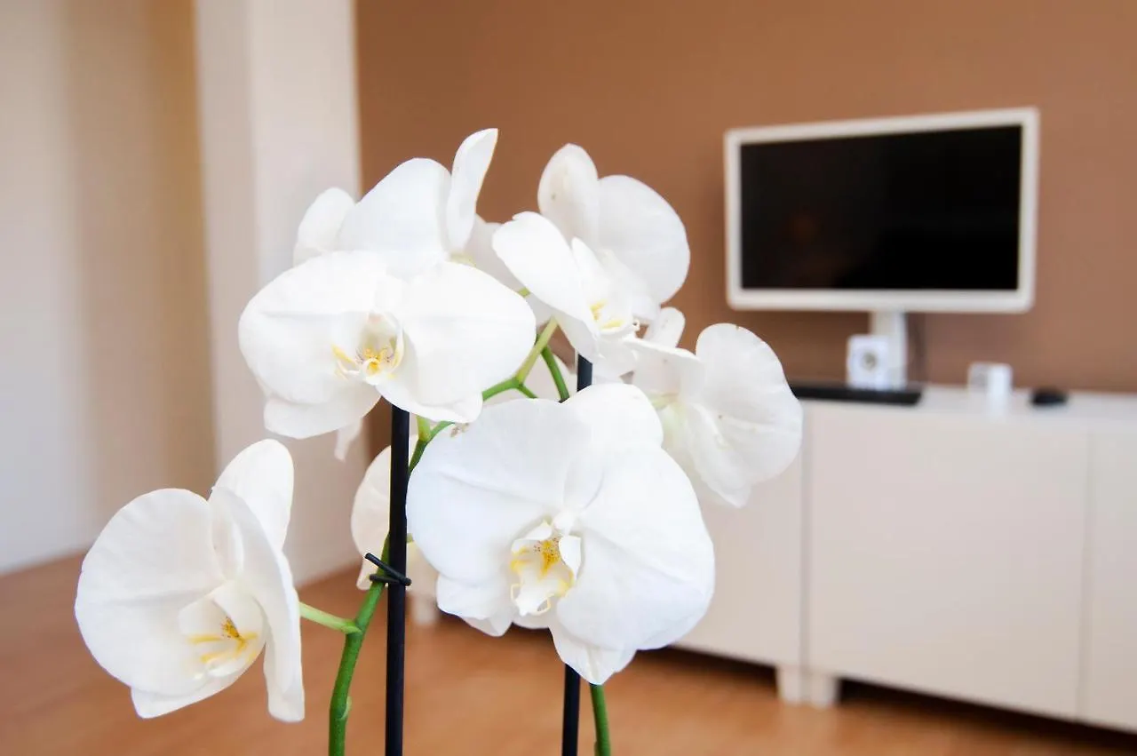 Apartment Trinidad 38