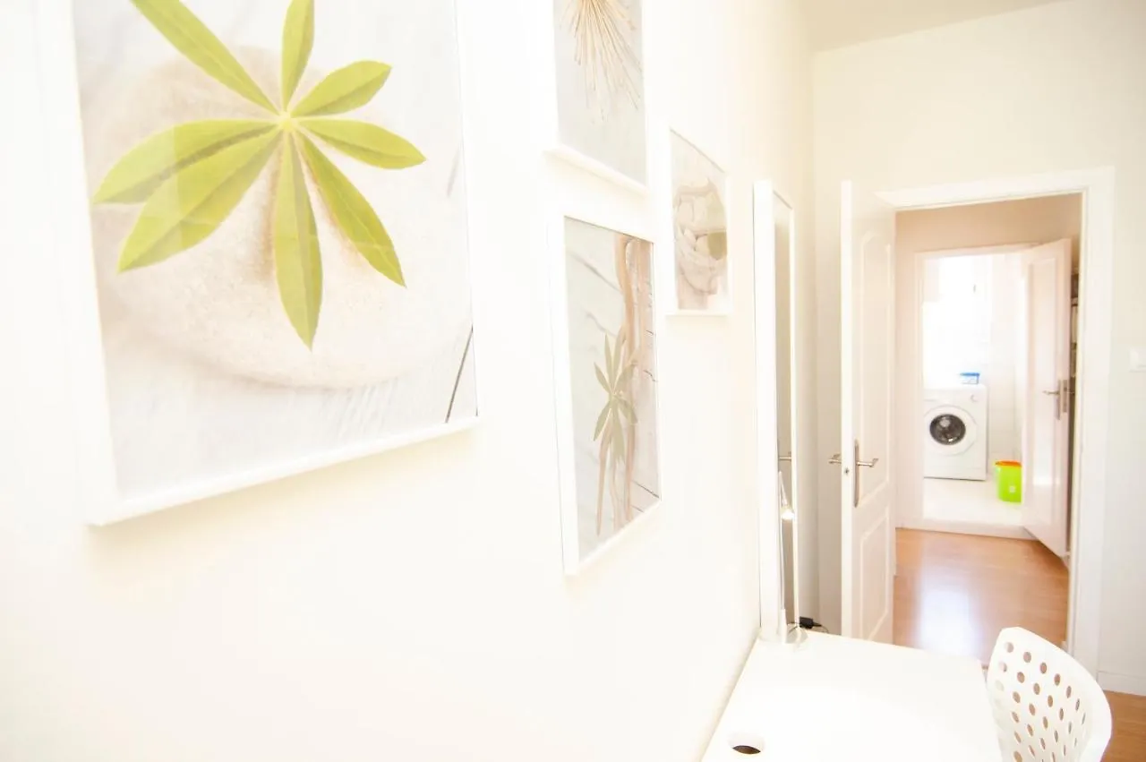 Apartment Trinidad 38  La Laguna (Tenerife)